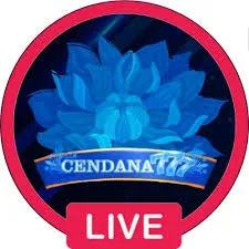 CENDANA777 - Balapan Seru di Dalam Genggaman Anda